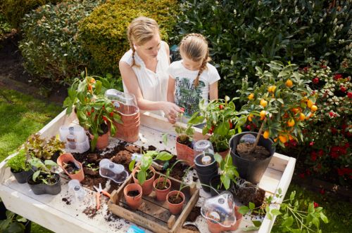 Moestuinklussen in augustus