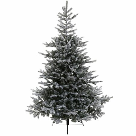 GRANDIS FIR SNOWY 180cm