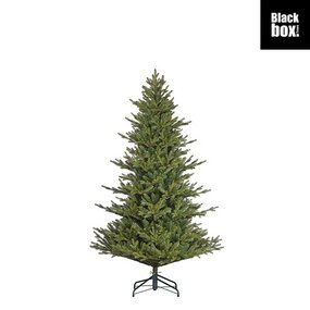 Orillia kerstboom 185cm