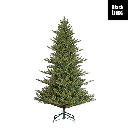 Orillia kerstboom 215cm