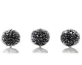 ROUND BRISTLE TREE, SET OF 3, MINI